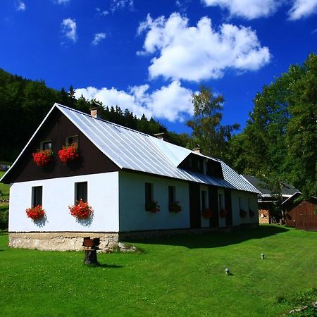 Guest House U Lakomce Desná Buitenkant foto