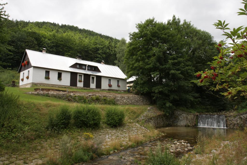 Guest House U Lakomce Desná Buitenkant foto